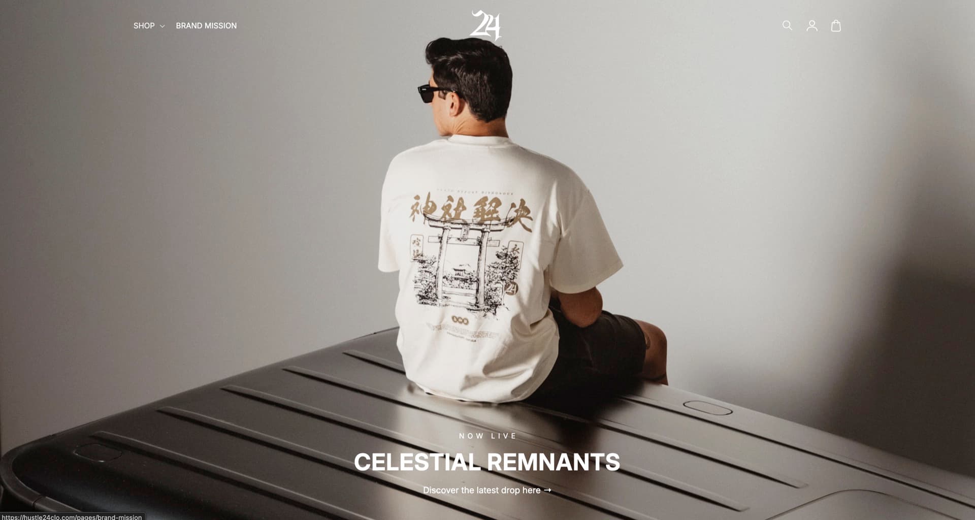 Eshop 6